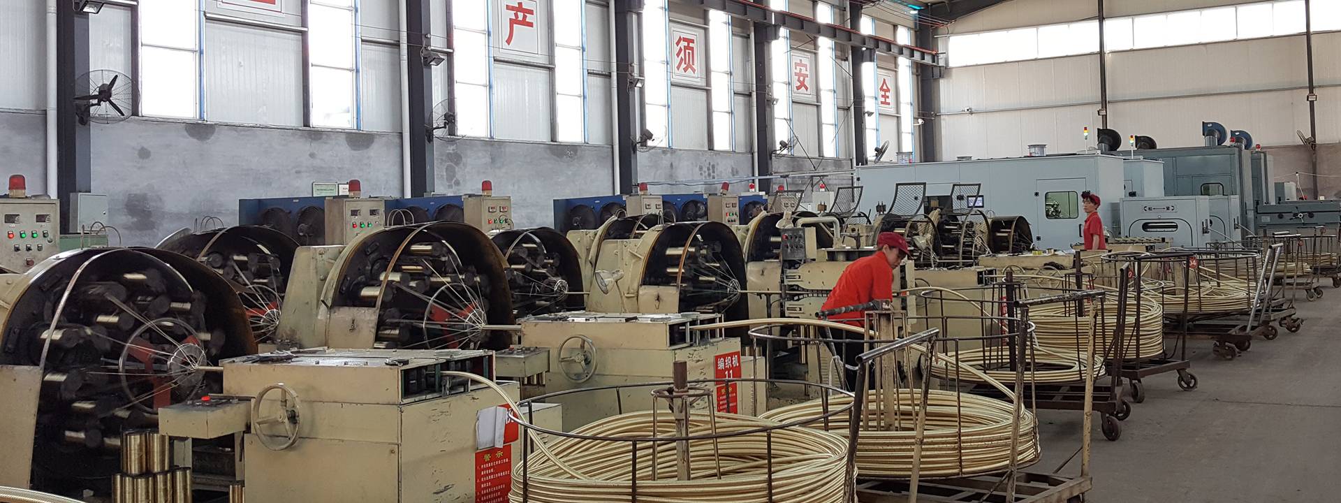 Several production lines and workers in the bright and clean workshop.